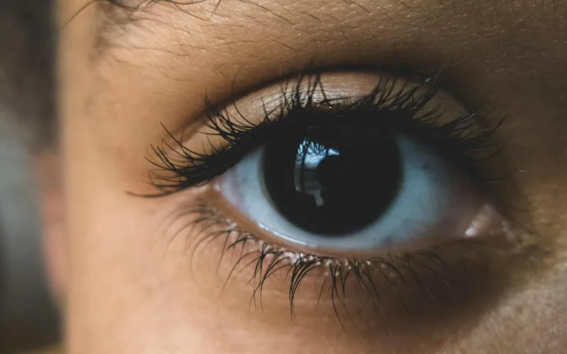 Detailed macro shot of a human eye with long eyelashes, highlighting texture and color.