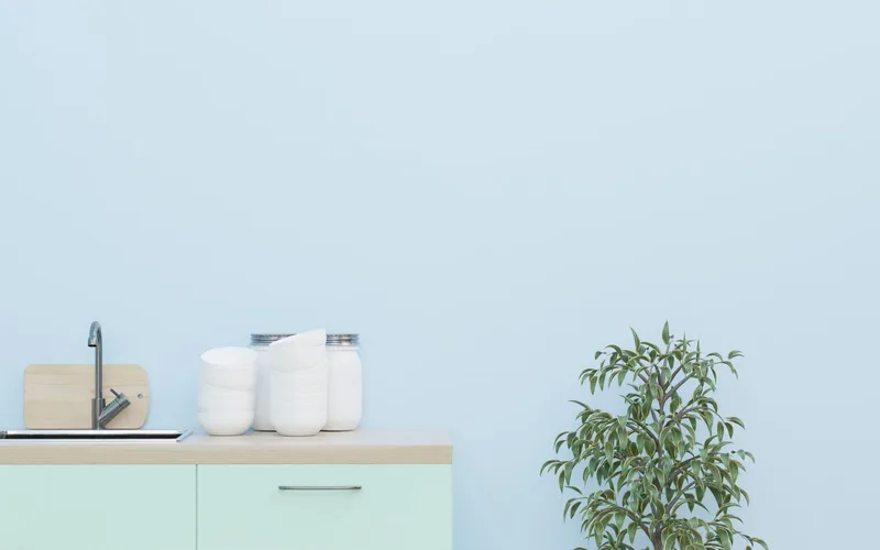 A minimalist kitchen setup featuring a mint colored cabinet, plant, and simple decor.